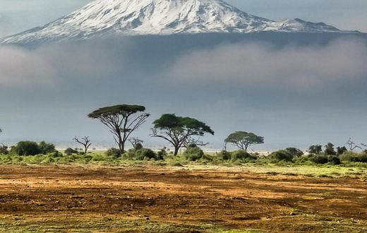 Mt Kilimanjaro in Tanzania is the highest peak in Africa [Followalice]
