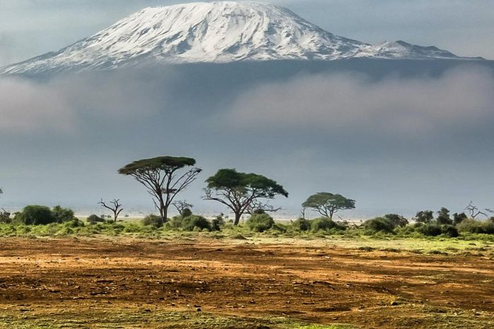 Mt Kilimanjaro in Tanzania is the highest peak in Africa [Followalice]