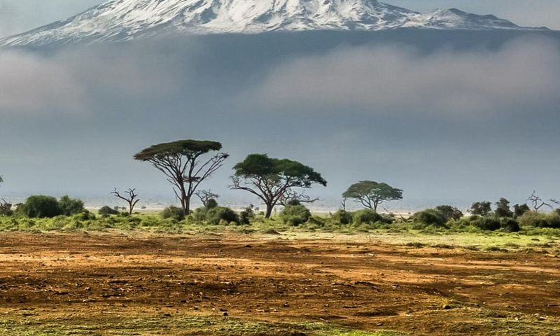 Mt Kilimanjaro in Tanzania is the highest peak in Africa [Followalice]