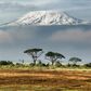 Mt Kilimanjaro in Tanzania is the highest peak in Africa [Followalice]