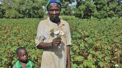 Le coton OGM de Mosanto au Burkina