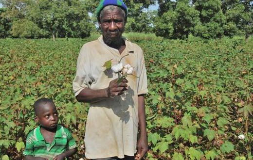 Le coton OGM de Mosanto au Burkina