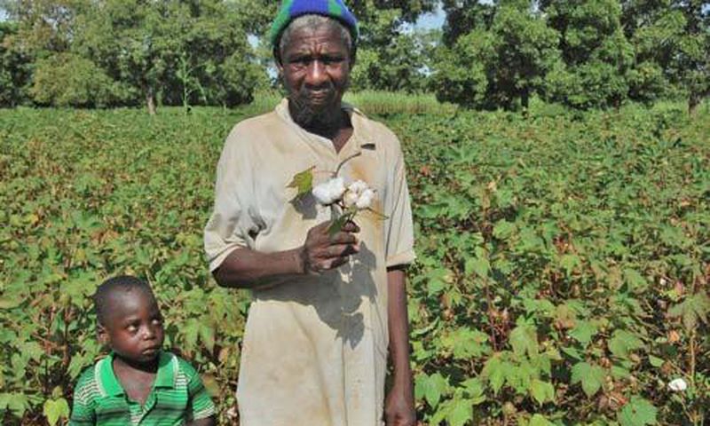 Le coton OGM de Mosanto au Burkina