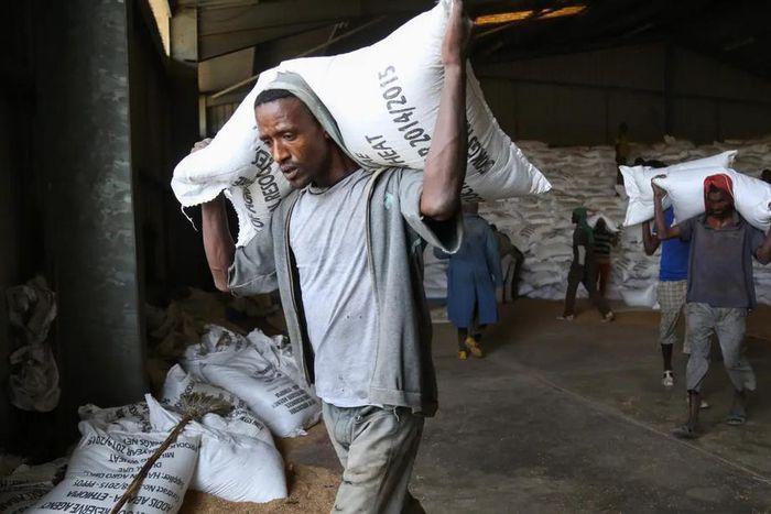 Aide alimentaire Ethiopie