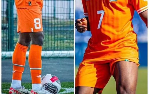 Sélection de l'équipe nationale : Dorgeles et Traoré intègrent les Éléphants