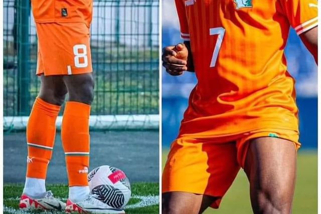 Sélection de l'équipe nationale : Dorgeles et Traoré intègrent les Éléphants