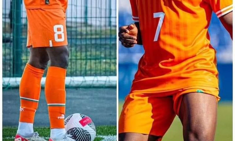 Sélection de l'équipe nationale : Dorgeles et Traoré intègrent les Éléphants