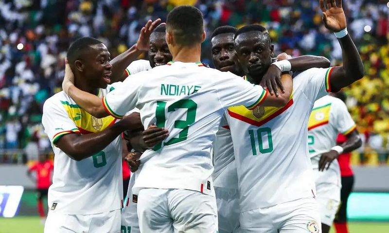 Lions-du-Sénégal