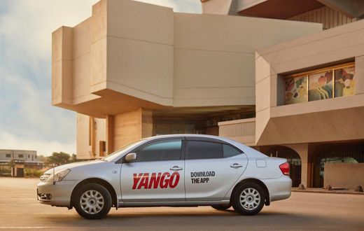 Yango is 5-years old.