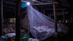 Un vendeur dort sur le marché de Kamapala, dans une moustiquaire afin de se protégéer des moustiques vecteurs du paludisme, le 3 avril 2020 Badru KATUMBA AFP/Archives