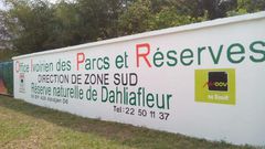 La réserve naturelle de Dalhia Fleur