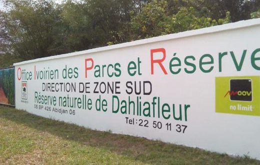 La réserve naturelle de Dalhia Fleur