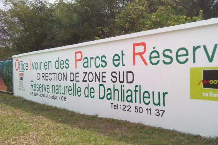 La réserve naturelle de Dalhia Fleur