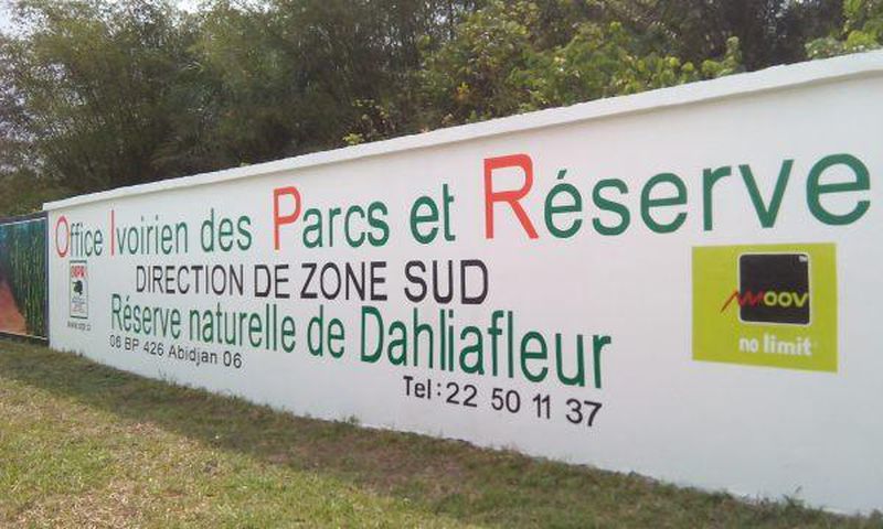 La réserve naturelle de Dalhia Fleur