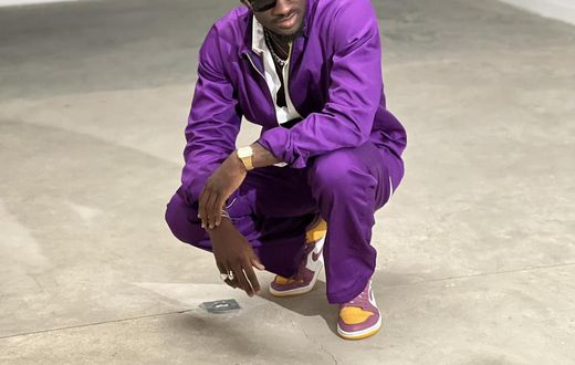Suspect 95
