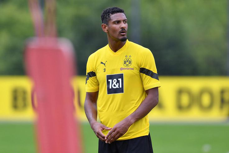 Borussia Dortmund striker Sebastien Haller has been diagnosed with testicular tumour