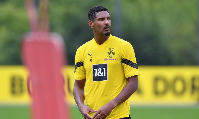 Borussia Dortmund striker Sebastien Haller has been diagnosed with testicular tumour
