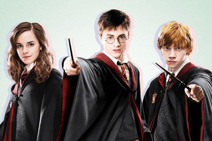 Harry Potter et ses amis
