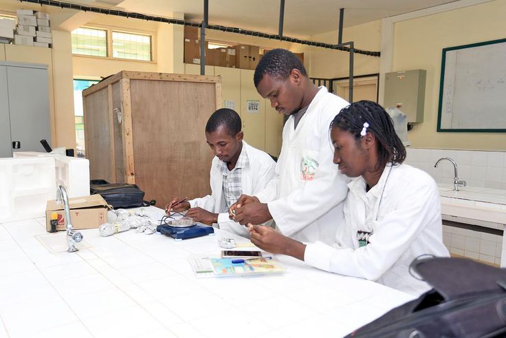 Des étudiants de l'enseignement technique