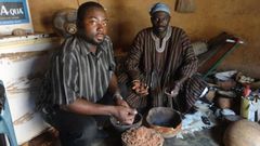 Un chercheur au CSIR, en compagnie d’un phytothérapeute traditionnel