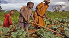 Des agriculteurs