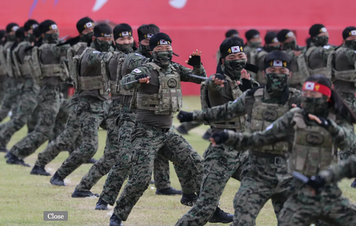 South Korean Special Army soldiers perform martial arts during a rehearsal [AFP/South Korean Defence Ministry]