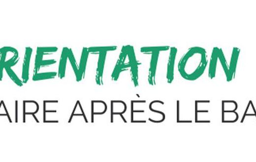 Comment bien s'orienter après le baccalauréat en 2024 ?