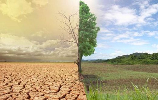 African countries most committed to climate change