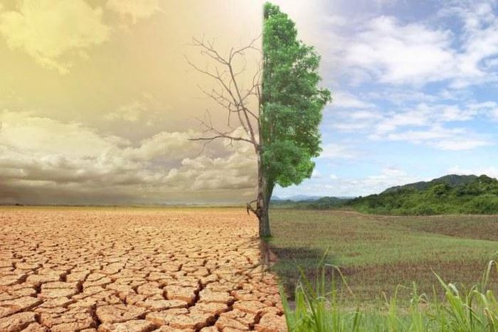 African countries most committed to climate change