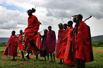 Danse des massais