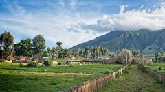 Visit to Rwanda