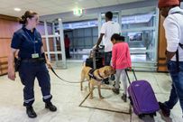 Controle douane