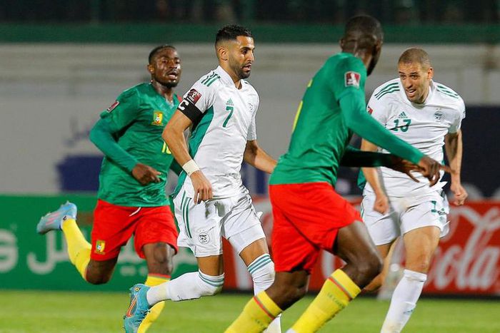 Match Cameroun Algerie