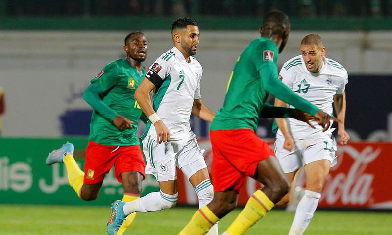 Match Cameroun Algerie