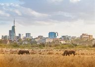 Le Parc de Nairobi/Getty Images