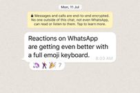 WhatsApp emoji