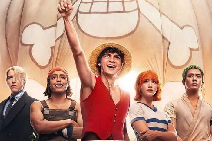 Luffy et ses amis dans One piece