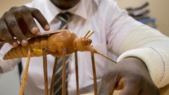 Le paludisme en Afrique