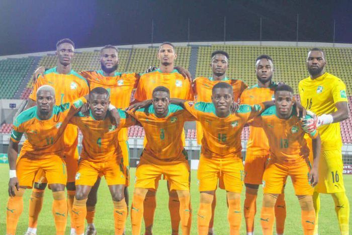 les éléphants de Côte d'Ivoire