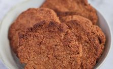 Les cookies contiennent de la Protéine