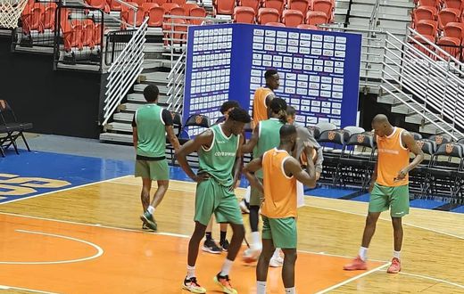 TQO : Les Éléphants de Côte d'Ivoire perdent leur premier match contre la Lituanie
