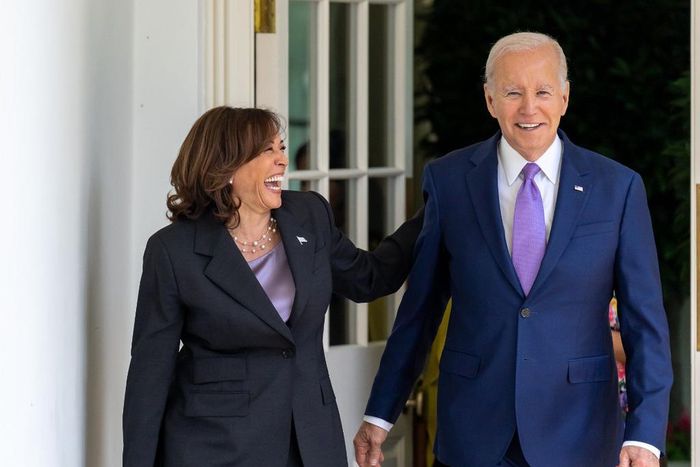 USA : Joe Biden abandonne la course présidentielle, Kamala Harris prend le relais