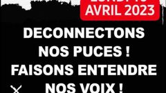 L'affiche du boycott