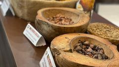 Des fèves de Cacao