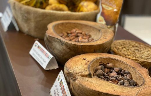 Des fèves de Cacao