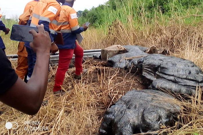 Liquide noire sortie de la terre