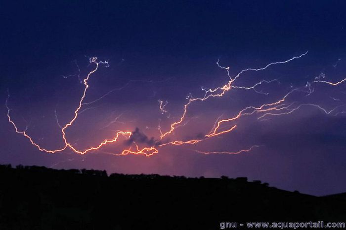 Voici des conseils d'usage pour se protéger de ces pluies diluviennes