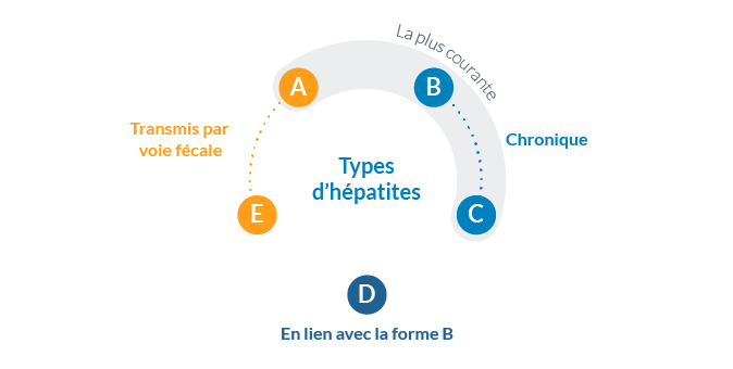 Hépatite A, B, C, D, E : Comment reconnaitre ces maladies destructrices mais silencieuses ?