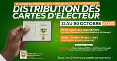 Comment récupérer sa carte d’électeur à l’étranger ou en Côte d’Ivoire