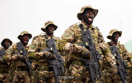 Découvrez les plus belles images du 65e anniversaire d'indépendance de la Côte d'Ivoire